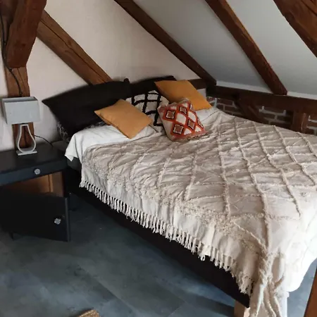 Nad Krutynia 스파이초보